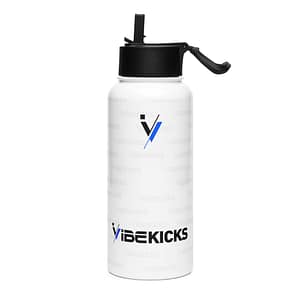 iVibeKicks Stainless steel water bottle with a straw lid